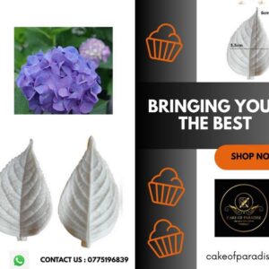 hydrangea leaf veiner