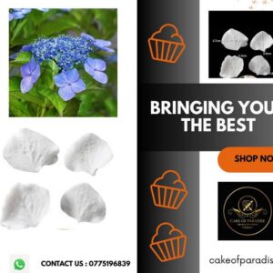 hydragea flower veiner