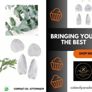 eucalyptus leaf veiner