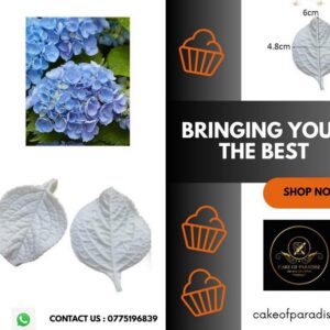 hydrangea leaf veiner