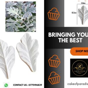 silver ragwort leaf veiner