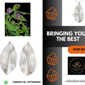 toad lili leaf veiner