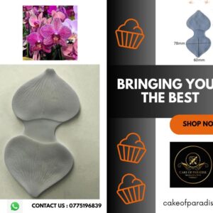 butterfly orchid flower veiner