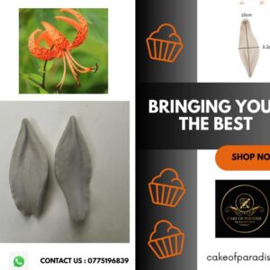 tiger lili flower veiner