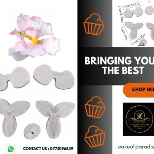 butterfly orchid flower veiner