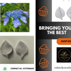 small hydrangea leaf veiner