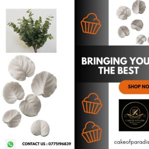 eucalyptus leaf veiner