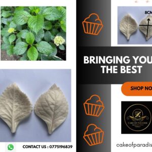 hydrangea leaf veiner